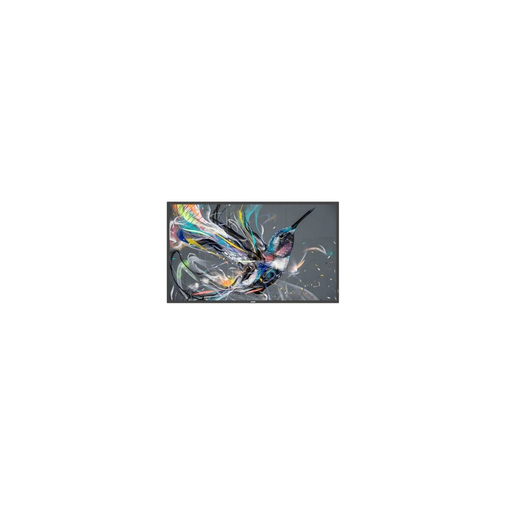 [8712581778569] PHILIPS Écran 32BDL3511Q/00 32 FHD LED