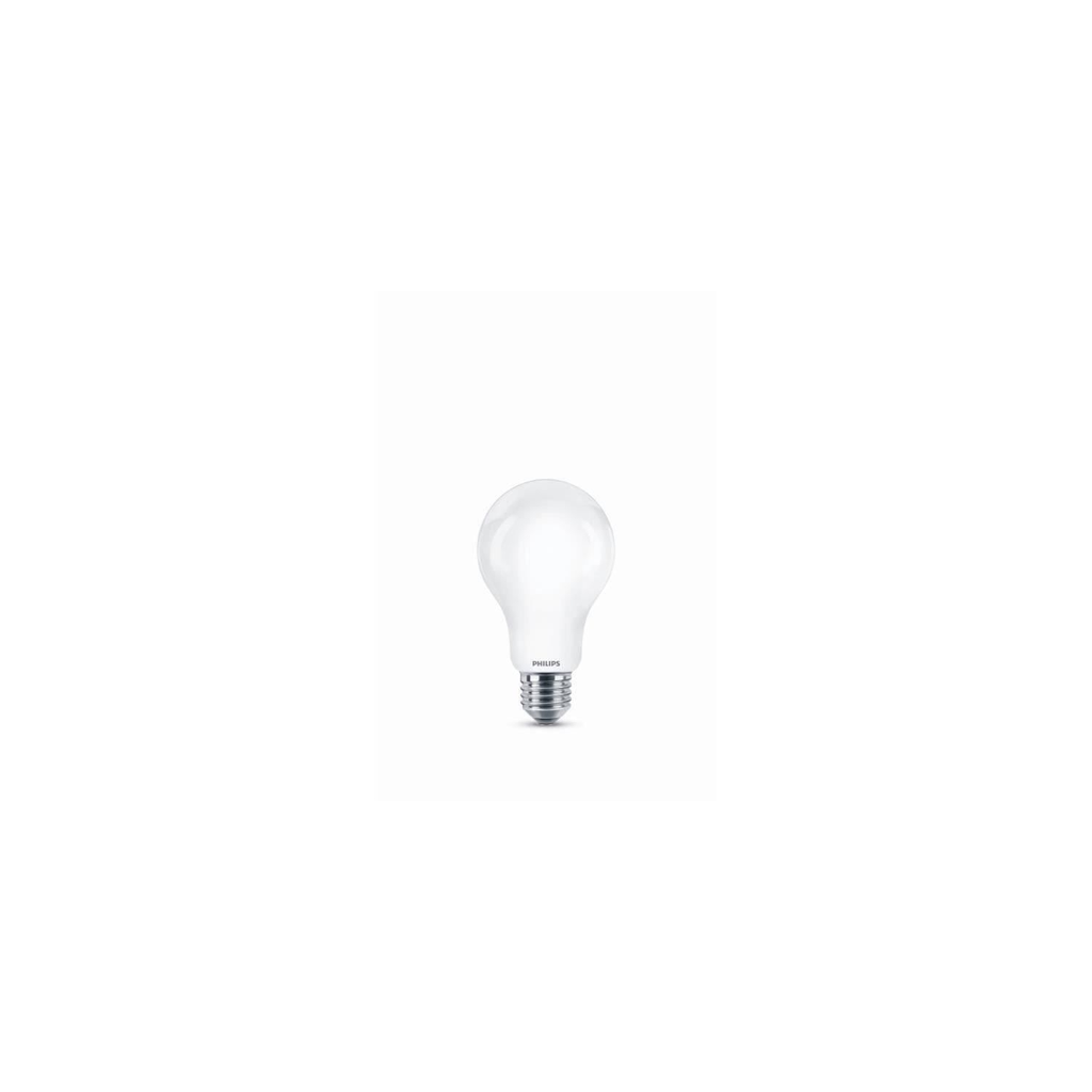PHILIPS Ampoule Led Non Dimmable E27 150w Blanc Froid