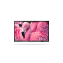 PHILIPS TV Hospitality 43HFL4014/12 Full HD 43 polegadas