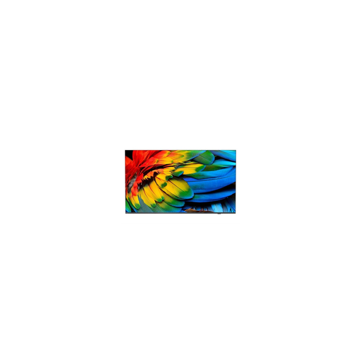 [8718863030851] PHILIPS TV 65HFL6214U/12 4K Ultra HD 165.1cm