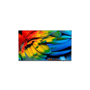 PHILIPS TV 75HFL6214U 4K Ultra HD Smart TV 75 polegadas