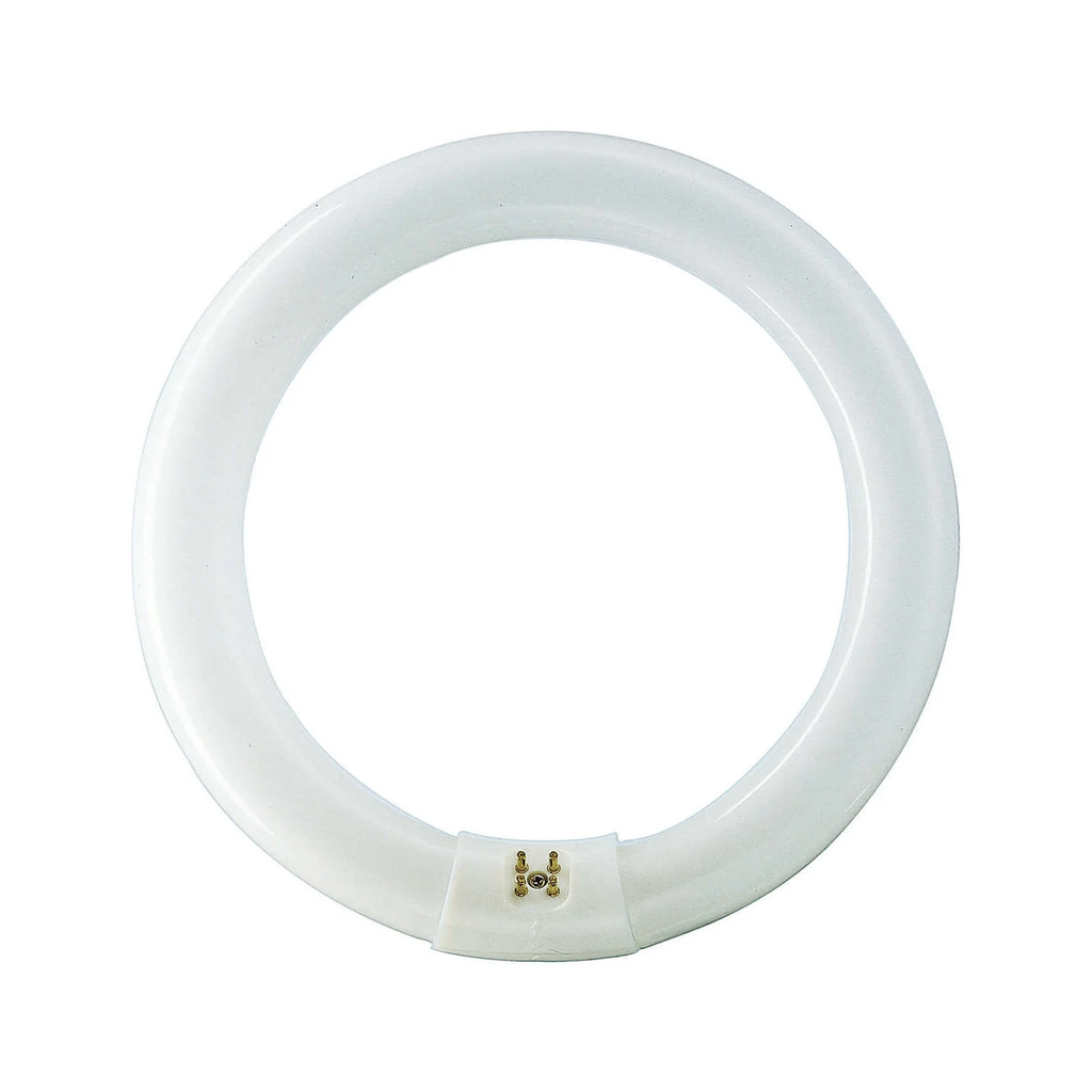 PHILIPS Tubo Fluorescente Circular 22W Ø21cm Triphosphor 865K 22w