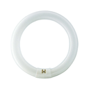 PHILIPS Tubo Fluorescente Circular 22W Ø21cm Triphosphor 865K 22w
