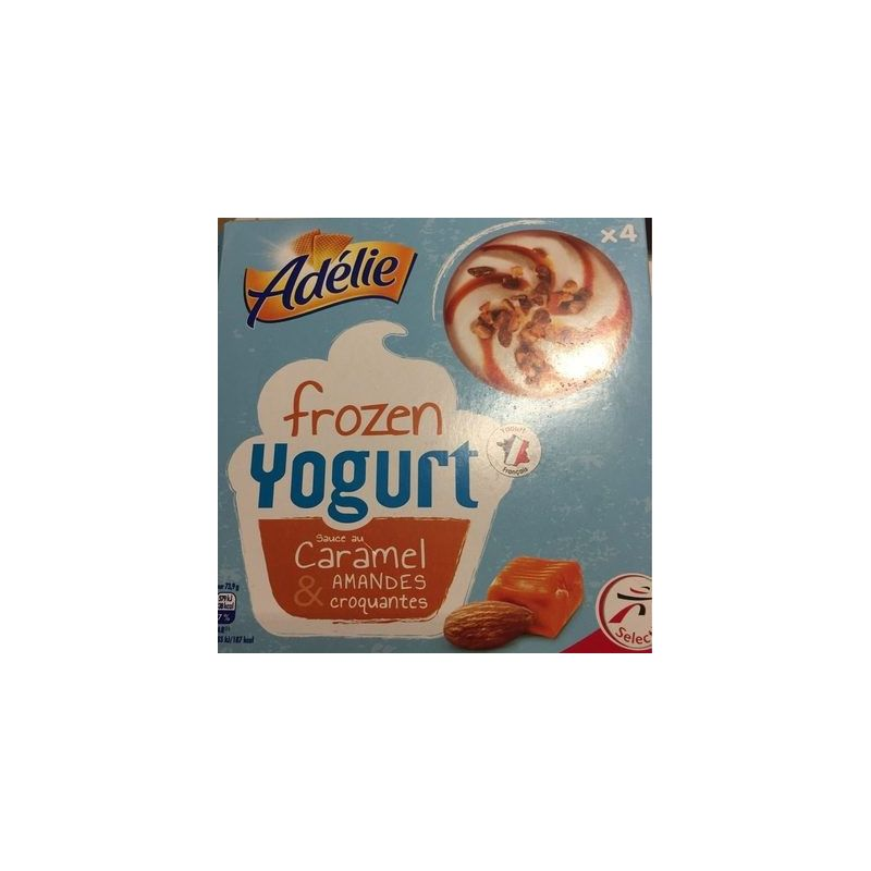 ADELIE Frozen Yogurt Caramel X4 295 g