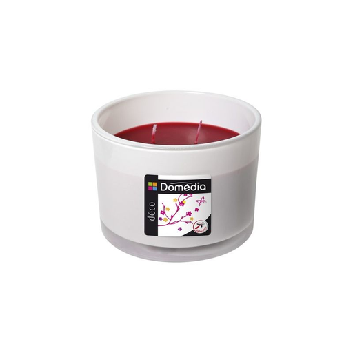 [3250392348526] DOMEDIA Dom Moule Cake Acier 30cm