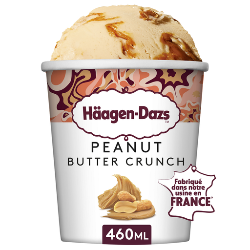 [3415587128011] HAAGEN-DAZS Peanut Butter Ice Cream 406 g
