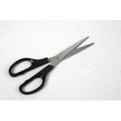 Chavignol Crottin Fermier