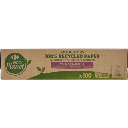 [3560071187620] CARREFOUR ECO PLANET Mouchoirs blancs triple épaisseur 100% papier recyclé ECO 100 mouchoirs