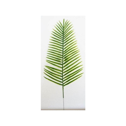 RBL DIFFUSION Canariensis Palm PM 48