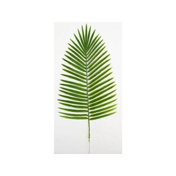 RBL DIFFUSION Palme Canariensis large model