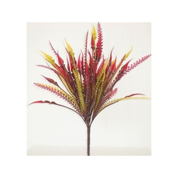 RBL DIFFUSION 12 Pteris picks assorted