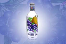ARIZONA the blueberry 1,5l
