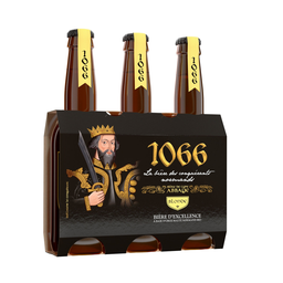 1066 Organic Blonde Beer 3x33 cl