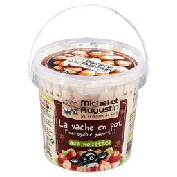MICHEL ET AUGUSTIN Yogur batido de avellanas 500g