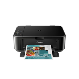 CANON Imprimante multifonctions jet d'encre MG3650S
