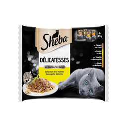 SHEBA Paté Délicatesses Gato Adulto Seleção Aves Gelatina 4 x 85 g
