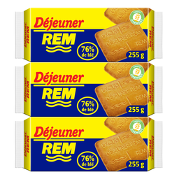REM Biscuits petit déjeuner Recette Originale