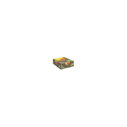 LIPTON Bte 100Saint Infusion Tilleul