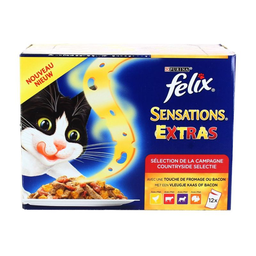 FELIX Extra Viandes 12x100 g