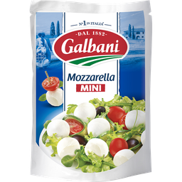 GALBANI Fromage Mozzarella Mini