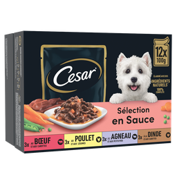 CESAR Sachets repas sélection en sauce pour chien 12 sachets 12x100g