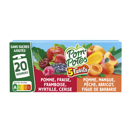 POM'POTES Compotes 5 fruits rouges & oranges gourdes 20x90g