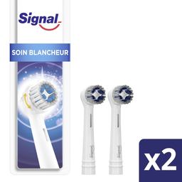 SIGNAL Recharge brossette dentaire électrique White Now, le lot de 2 brossettes