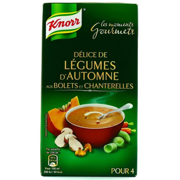 KNORR brick soupe mom gourmet légumes d automn 1l