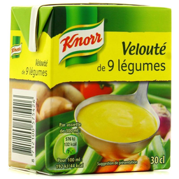 KNORR brick veloute 9 légumes 300ml