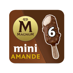 MAGNUM Gelado Mini Amêndoa 276 g