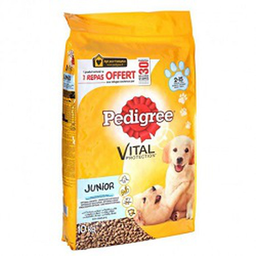 PEDIGREE Ração seca para cão júnior 10 kg