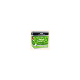 EPIDIS Chá Verde Sencha China 40 g