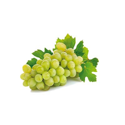 RAISIN White Raisins C1 Bulk Afs