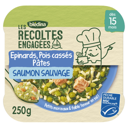 BLEDINA Plat bébé Épinards Pois cassés Pâtes étoile Saumon 250 g