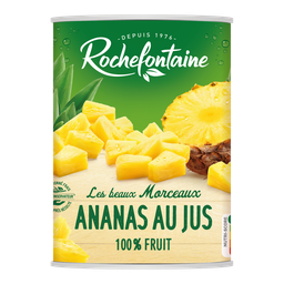 ROCHEFONTAINE Fruits au Sirop Ananas en Morceaux au Jus