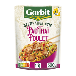 GARBIT Plat Individuel Pad Thaï