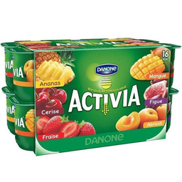 ACTIVIA Bifidus Fruit Yogurt 16 x 125 g