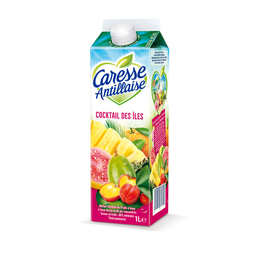 CARESSE ANTILLAISE Nectar Multifruits CARESSE ANTILLAISE