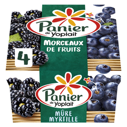 PANIER DE YOPLAIT Iogurte com pedaços de fruta amora e mirtilo 4 x 125 g