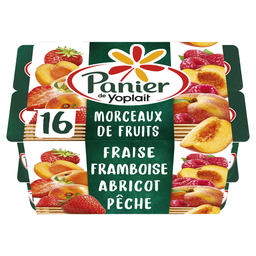 PANIER DE YOPLAIT Iogurte com pedaços de fruta alperce pêssego morango framboesa 16 x 125 g