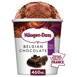 HAAGEN-DAZS Belgian Chocolate Ice Cream 460 ml