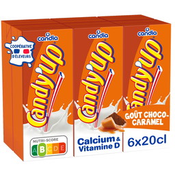 CANDIA Boisson lactée Candy'Up choco-caramel 6 x 20 cl