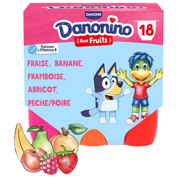 FRUITS Fruit Fromage Blanc DANONINO 18 x 50 g Pots