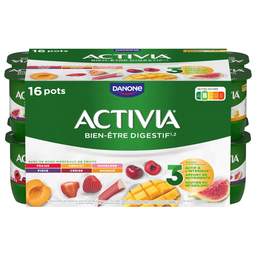 ACTIVIA Yaourt aux fruits bifidus 16x125g