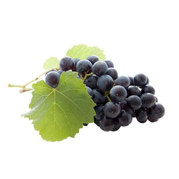 RAISIN Black Muscat 1 kg