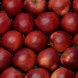 FRUITS Juliette Organic Apple, 4 units