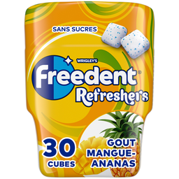FREEDENT Refreshers Chewing-gum Mangue Ananas 67g