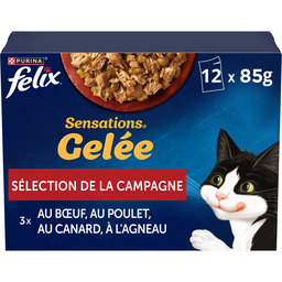 FELIX Comida sabor carne Sensations gelatina selección de campo 12 x 85 g