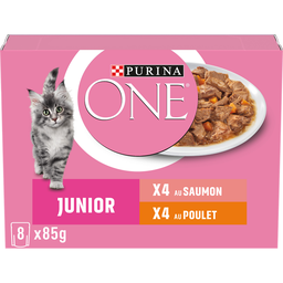 PURINA ONE Pâtée Pour Chat Junior En Sauce Poulet Carotte Saumon PURINA ONE