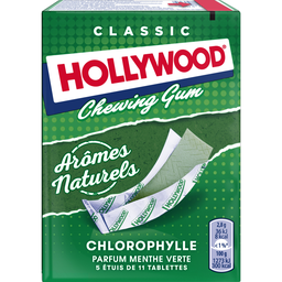 HOLLYWOOD Chewing gum chlorophylle parfum menthe verte 5x11 tablettes